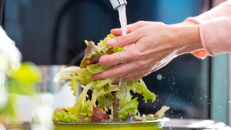 Food Safety